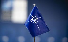WSJ: совет Украина-НАТО могут учредить на саммите альянса в Литве летом