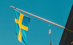 Спикер Рады Стефанчук заявил, что Украина попросила у Швеции истребители Gripen