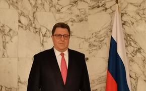 Дипломат Гаврилов: мы предостерегаем Киев и Запад от совершения диверсий и терактов на территории России 
