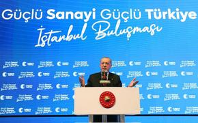 Hürriyet со ссылкой на соцопрос: Эрдоган победит во втором туре выборов президента Турции с 53,7% 