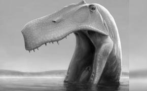 Огромный динозавр из Бразилии ел «как пеликан»