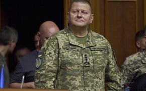 МВД России объявило в розыск украинского главнокомандующего Валерия Залужного 