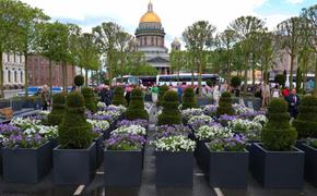 Липовый сад перед Мариинским дворцом обошелся бюджету Петербурга почти в 163 миллиона