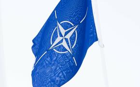 dikGAZETE: Украину не примут в НАТО из-за страха конфликта с Россией  