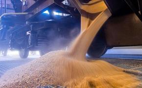 Путин заявил, что Россия думает над выходом из зерновой сделки