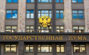 Депутаты Госдумы расследуют преступления Украины против детей