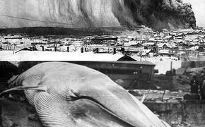 В 1952 году город Северо-Курильск был смыт океаном
