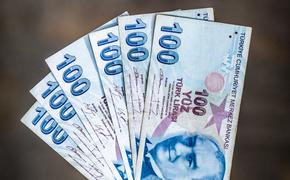 Курс турецкой валюты впервые превысил 25 лир за доллар, обновив исторический минимум