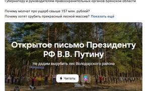 Брянцы борются за сохранение своего леса и обратились с петицией к президенту РФ  