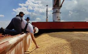 Глава РЗС Злочевский заявил, что зерновая сделка наносит российской экономике ущерб