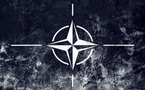 НАТО дело тонкое, Петруха
