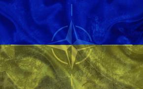Киев продолжает пешее путешествие в НАТО