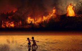 Средиземноморье охвачено лесными пожарами