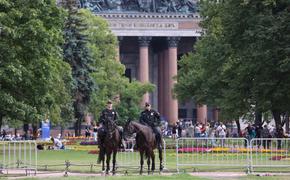 Полицейские всадники вновь оберегают общественный покой в центре Петербурга