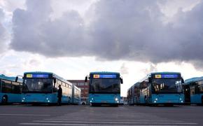 В Петербурге вместо часто возгорающихся автобусов пустят резервный транспорт 