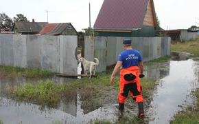В Хабаровском крае подтопленные территории освободились от воды