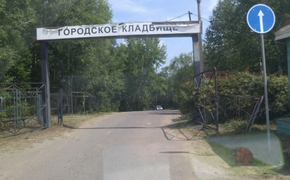 Медведи начали разорять могилы в Хабаровском крае