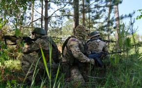 Рогов: Старомайорское и Урожайное в ДНР находятся под огневым контролем войск РФ