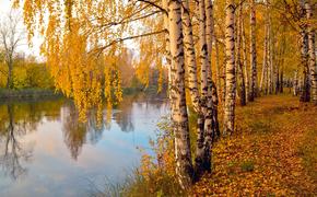 Осенне-зимний сезон в России будет на один-три градуса выше нормы