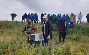 Волонтеры выпустили краснокнижных лебедей в заказнике Челябинской области