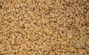 Sabah: российское зерно планируется вывезти в страны Африки сорока судами