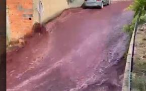 Бурлящий поток красного вина затопил улицы города в Португалии
