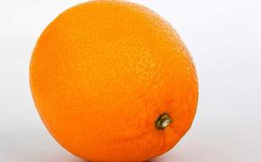 Апельсины могут стать деликатесом. По крайней мере из-за цены
