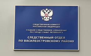 Бастрыкин взял на контроль дело о смерти петербурженки после операции в клинике 