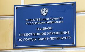 Бастрыкин запросил доклад о проверке по факту удушения ребенка в Петербурге 