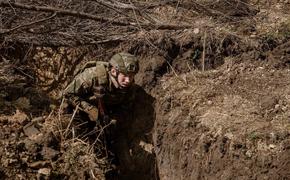 Украинские военные начали добровольно сдаваться в плен под Сватово в ЛНР