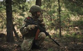 Военные РФ отразили 15 попыток ВСУ прорвать линию соприкосновения в ЛНР