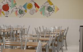 Контрольно-счётная палата Петербурга проверит питание детей в школах и детсадах