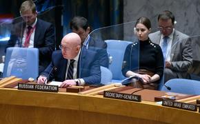 Постпред РФ при ООН Небензя заявил, что Россия уже вернулась в Африку