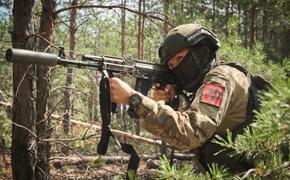 Российские бойцы обратили в бегство военных ВСУ в районе Новодонецкого в ДНР