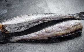 Рыбу минтай хотят сделать популярной у российского покупателя