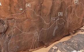 Загадочные фигурки верблюдов были найдены в пустыне Саудовской Аравии