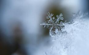 Синоптик Шувалов: Утром в субботу в Москве запорхает снег