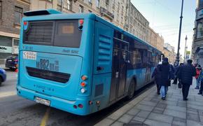 Количество умных остановок в Петербурге увеличится в 1,5 раза