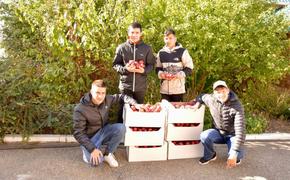 100 кг яблок: депутат ЗСК передал свежие фрукты в Новолеушковскую школу-интернат