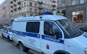 В Петербурге мигранты устроили массовую драку из-за женщины