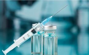 Академик Гинцбург: В Москве проходят испытания нового варианта вакцины под новый штамм коронавируса «Кракен»