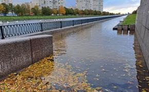 Таксист с иностранкой спасли тонущего человека в Санкт- Петербурге