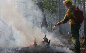 В Хабаровском крае тушат два лесных пожара