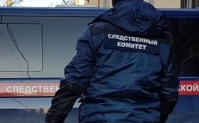 Ирина Волк: возбуждено дело в отношении задержанного за стрельбу в ресторане 