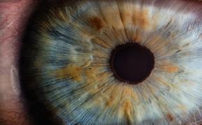 Офтальмолог Петров рассказал, что глаукома все чаще бывает не только у пожилых