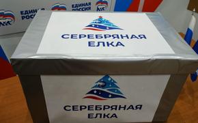 «Единая Россия» запустила благотворительную акцию «Серебряная елка»