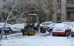 За сутки с улиц Санкт-Петербурга вывезли 120 кубометров снега