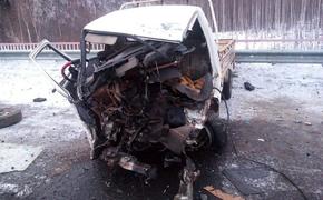 В Хабаровском крае при ДТП погиб водитель грузовика