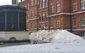 Автомобилистов Петербурга попросили не парковаться на улицах, где убирают снег