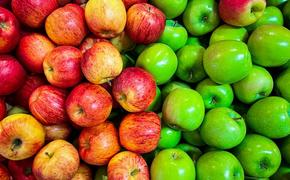 Россельхознадзор приостановил импорт молдавских яблок и слив